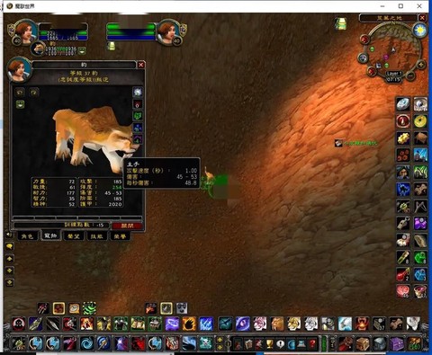 魔兽世界什么是宠物对战