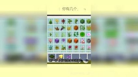 在迷你世界怎么种大树