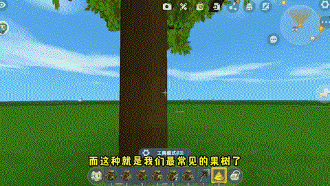 在迷你世界怎么种大树[图2]