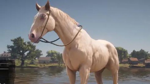 荒野大镖客马镫什么好