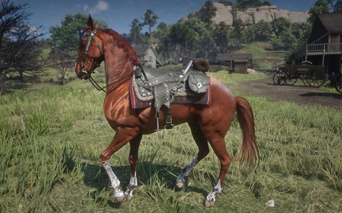 荒野大镖客马镫什么好[图1]