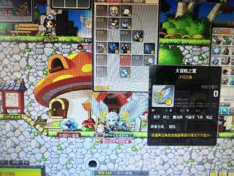 冒险岛2怎么询问队长