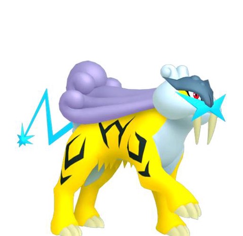 口袋妖怪怎么抓雷公[图2]