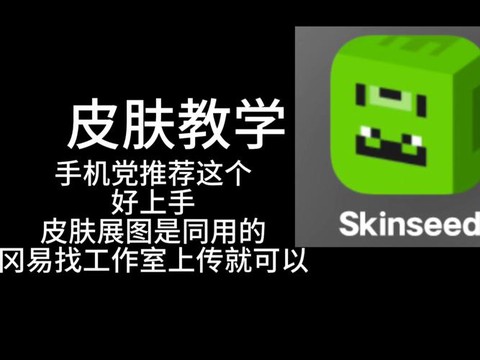 我的世界怎么装皮肤[图2]