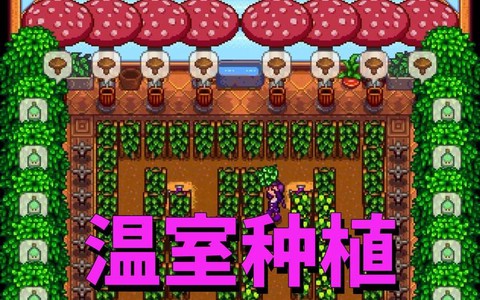 星露谷物语温室怎么
