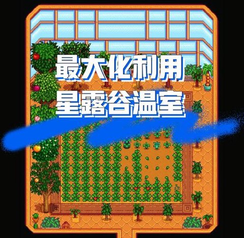 星露谷物语温室怎么[图1]