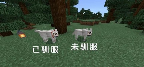 我的世界怎么驯服狼手机版