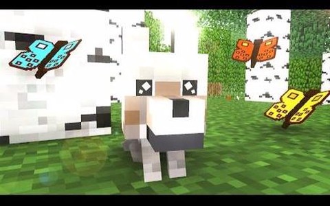 我的世界怎么驯服狼手机版[图1]