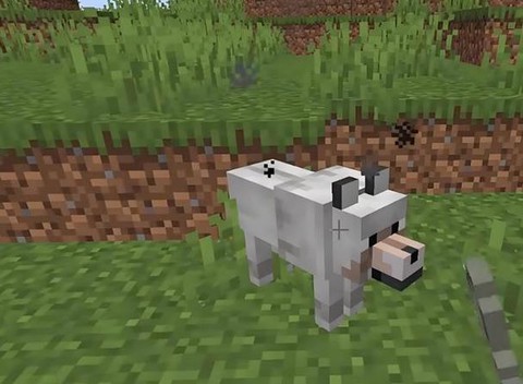 我的世界怎么驯服狼手机版[图2]