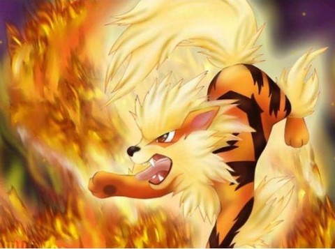 口袋妖怪黑2练什么好