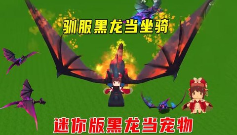 迷你世界黑龙吃什么