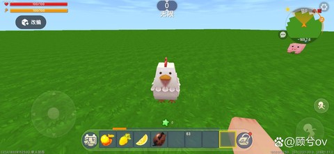 迷你世界鸡为什么会死