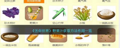 迷你世界野果怎么做
