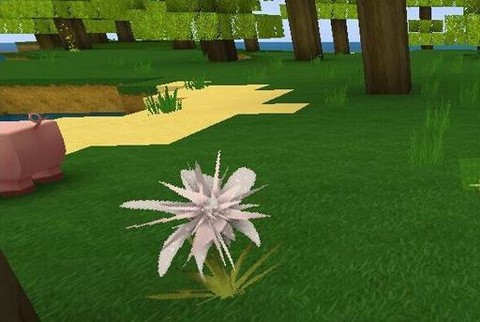 迷你世界龙舌兰怎么种[图2]