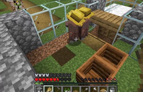 我的世界村民怎么升级[图2]